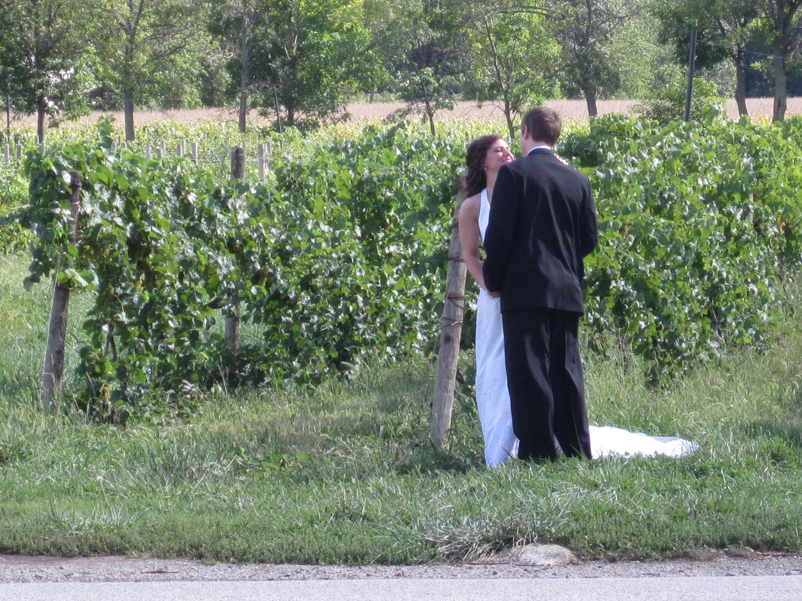 Bride and groom photos in the vineyard